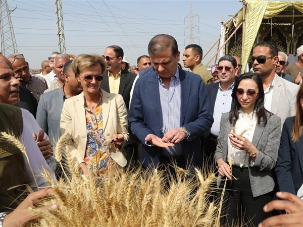 وزير الزراعة ومحافظ البحيرة يشهدان احتفالية ميكنة حصاد القمح بالمحافظة بحضور سفير الاتحاد الأوروبي