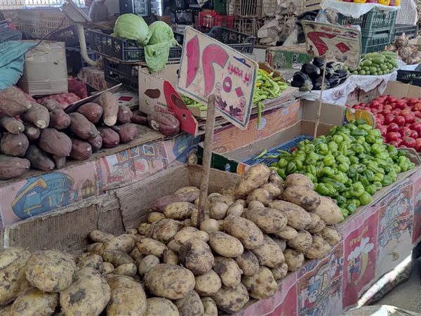 هشام عز العرب: 