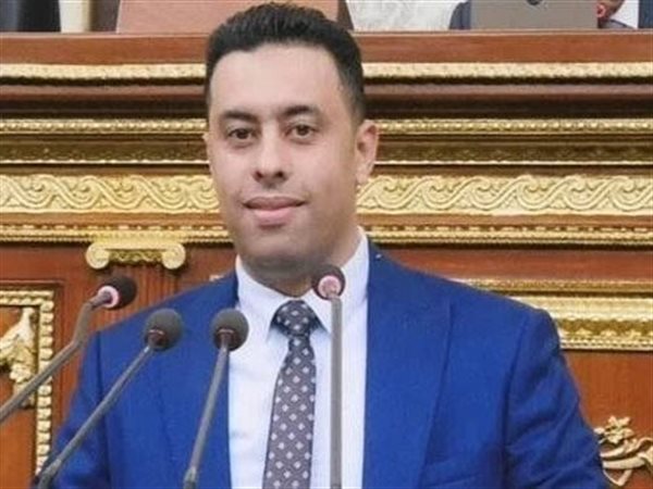 مطالب برلمانية بمحاسبة هيئة التأمينات تزامنًا مع إقرار تعديلات قانون المعاشات