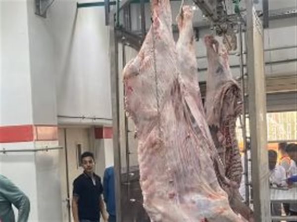 تشغيل تجريبي لمجزر ديرب نجم بعد تطويره بـ22.4 مليون جنيه 