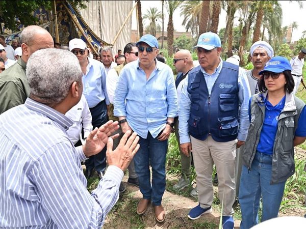 هل ينجح الري الحديث في تغيير مستقبل زراعة القصب بقنا؟.. الوزير يختبر أحدث التجارب البحثية