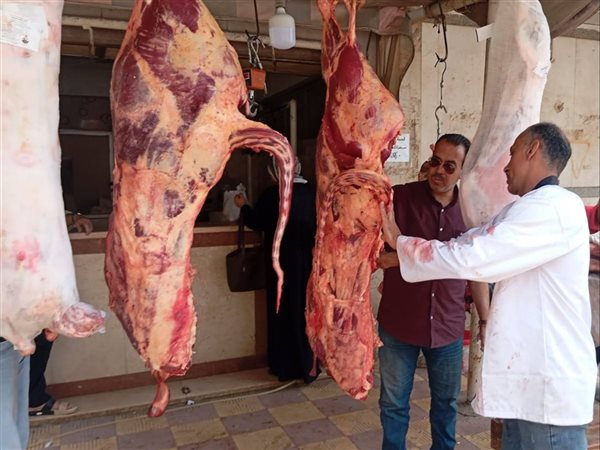تموين القليوبية يكثف الحملات الرقابية قبل عيد الأضحى لضبط الأسواق والمخابز