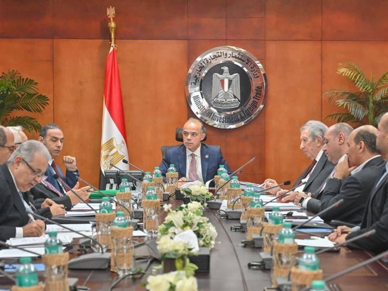 محمد فريد صالح، وزير
