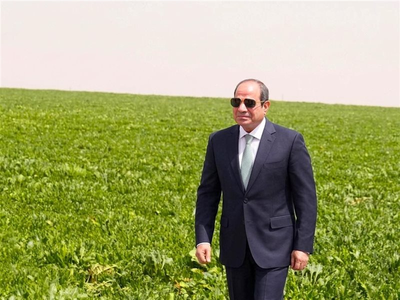 مشروع الدلتا الجديدة