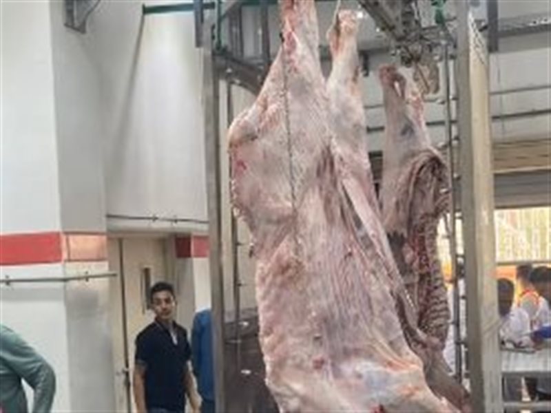 مجزر ديرب نجم بعد تطويره