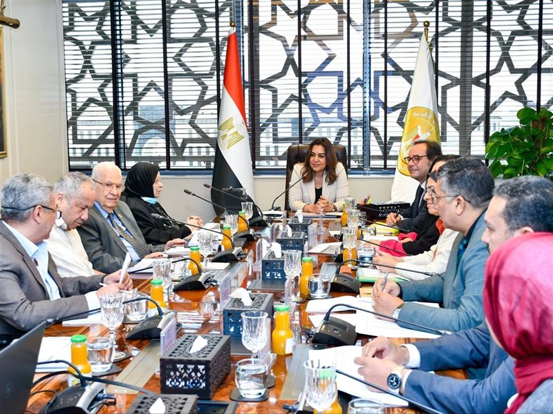 منال عوض، وزيرة التنمية