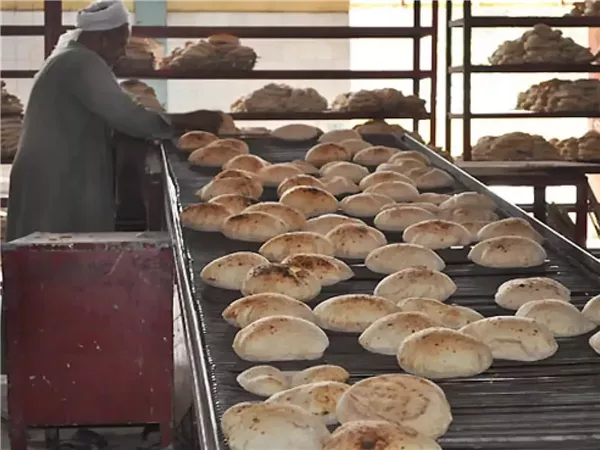 شعبة المخابز: خطة عيد الأضحى تضمن استمرار إنتاج الخبز دون توقف