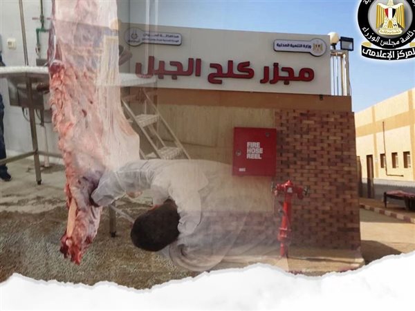 بدء التشغيل التجريبي لمجزر “كلح الجبل” بأسوان بتكلفة 21 مليون جنيه