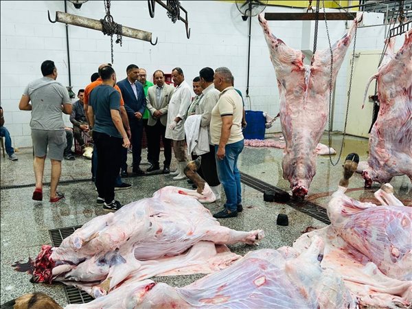  الزراعة: ذبح 29 ألف أضحية بالمجازر الحكومية مجانًا خلال أول 3 أيام عيد الأضحى
