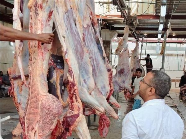 نقيب الفلاحين: أسعار اللحوم تهبط إلى 150 جنيهًا للكيلو بسبب زيادة المعروض 