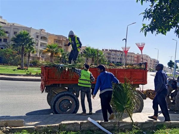 جهاز الشروق يكثف أعمال صيانة المسطحات الخضراء ورفع المخلفات