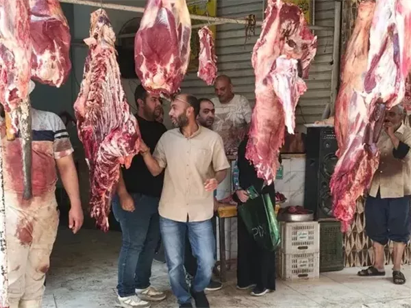 الجيزة تضبط 6 أطنان لحوم ودواجن فاسدة خلال حملات مكثفة قبل عيد الأضحى