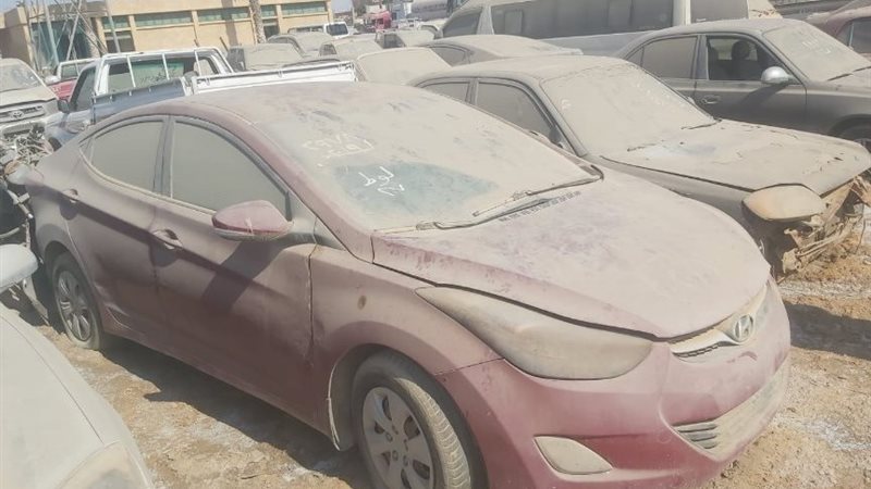 صورة أرشيفية