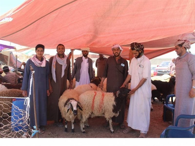  غرفة مطروح التجارية
