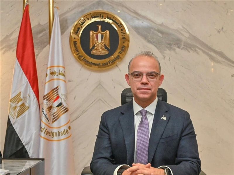 محمد فريد صالح، وزير الاستثمار