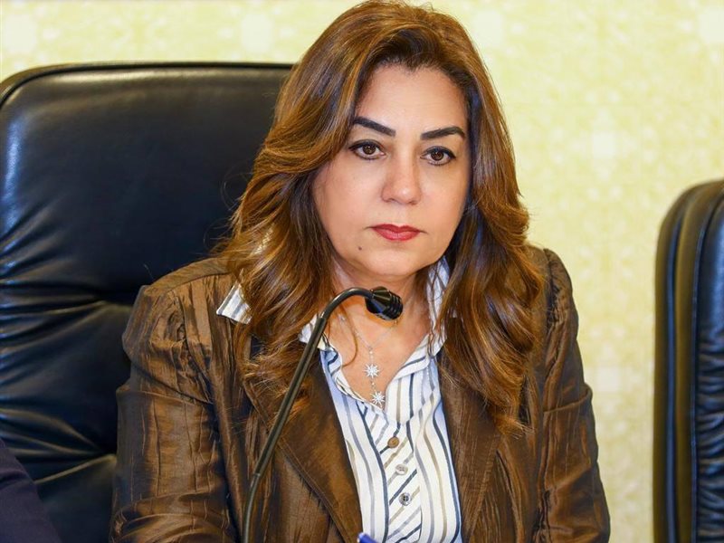 وزيرة التنمية