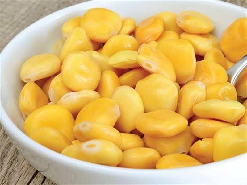 الترمس