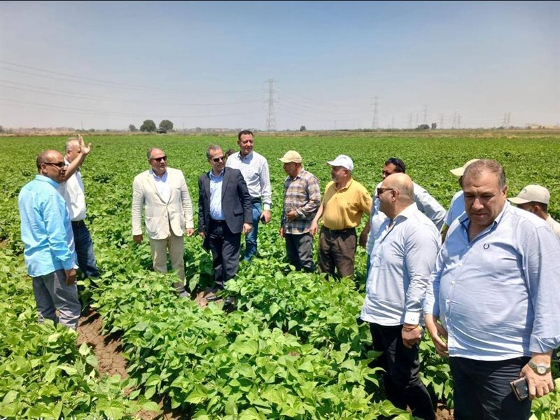 عادل عبدالعظيم، رئيس