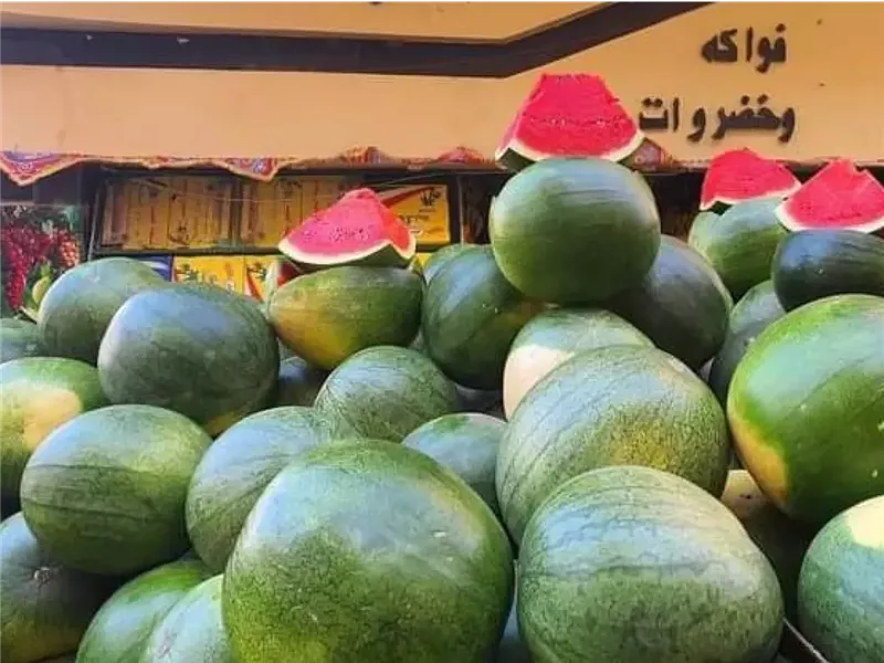 البطيخ المصري