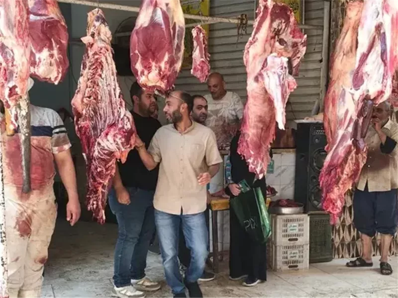 اطنان لحوم ودواجن