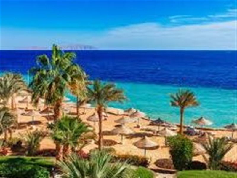 أحد شواطئ الغردقة
