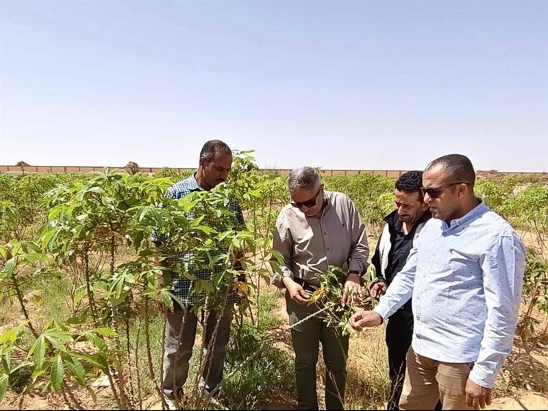 وزارة الزراعة