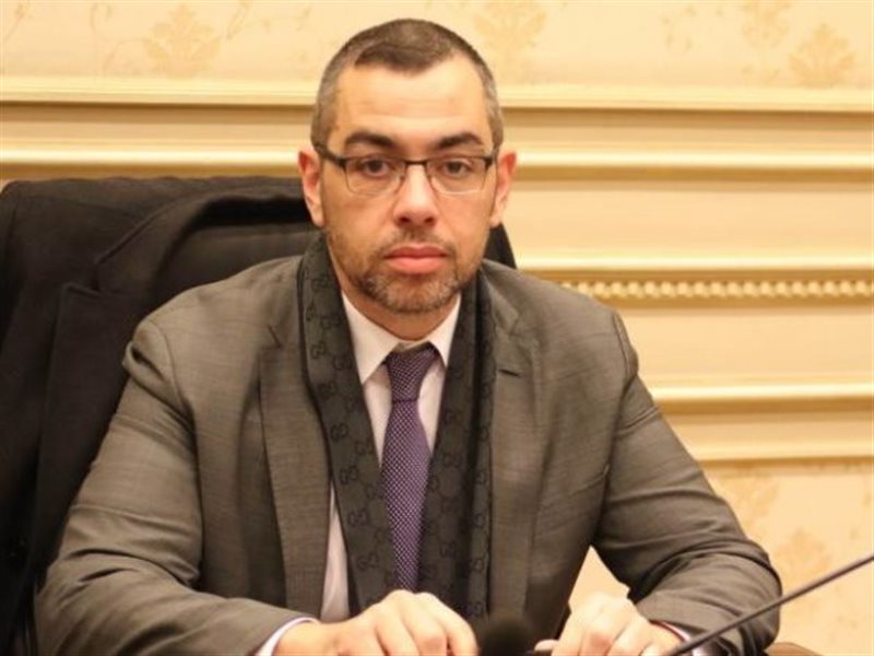 النائب محمد فؤاد، الخبير الاقتصادي