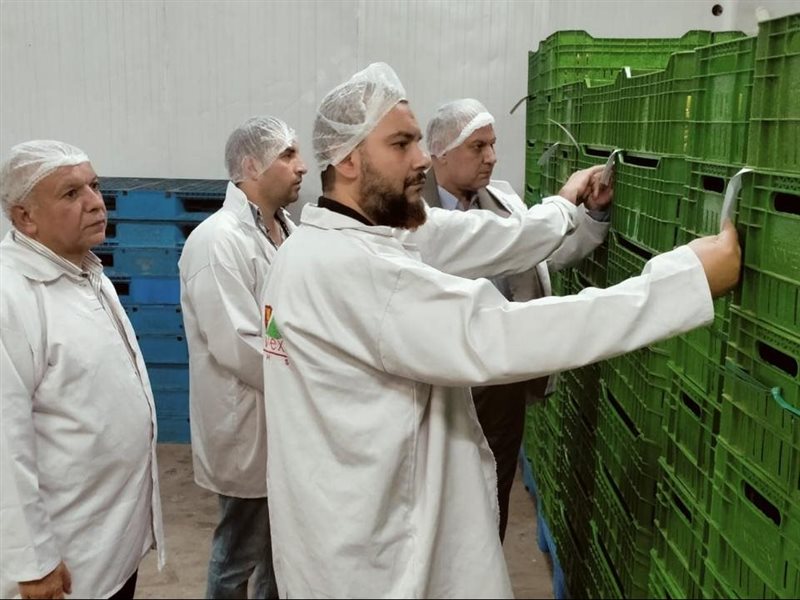 جولات الزراعة على