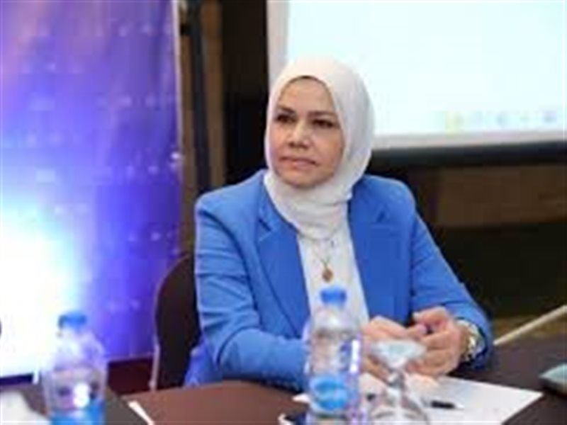 رشا عبد العال، رئيس مصلحة الضرائب المصرية