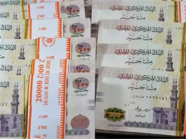 مدخرات المصريين تتجه إلى حسابات التوفير
