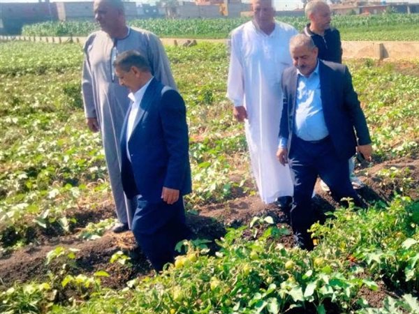 الإصلاح الزراعي بكفر الشيخ يواصل المتابعة الميدانية للزراعات الصيفية وحماية الأراضي