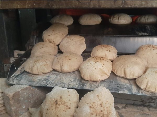 مديرية التموين بالقليوبية تكثف حملاتها الميدانية على مستودعات البوتاجاز والمخابز