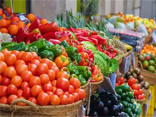 شعبة الخضروات: وفرة المعروض تقضي على مخاوف ارتفاع أسعار الطماطم