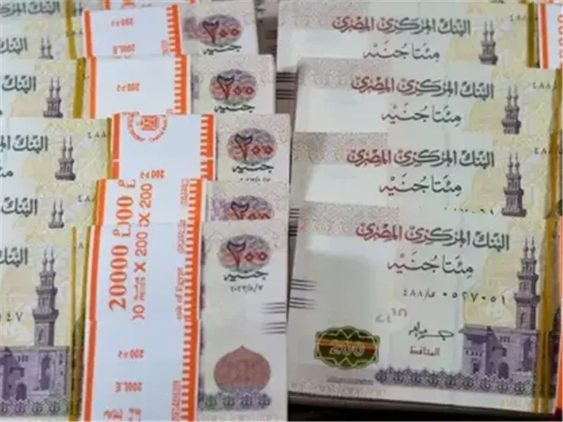مدخرات المصريين
