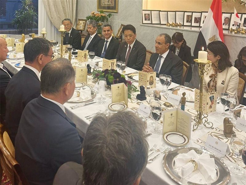 وزير الخارجية يبحث