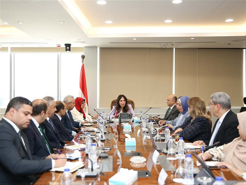 راندة المنشاوي وزيرة