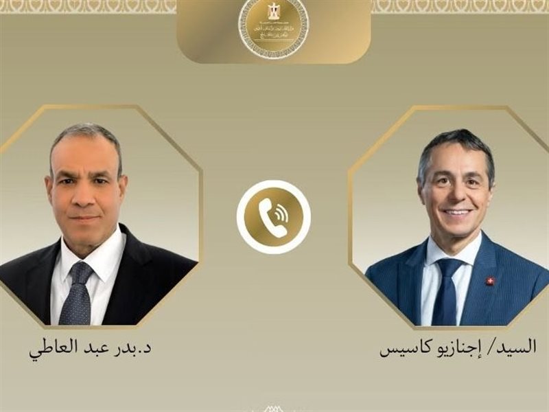  بدر عبد العاطي وزير