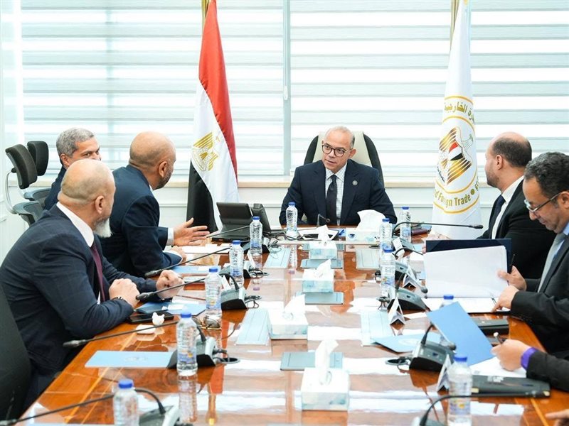  محمد فريد، وزير الاستثمار