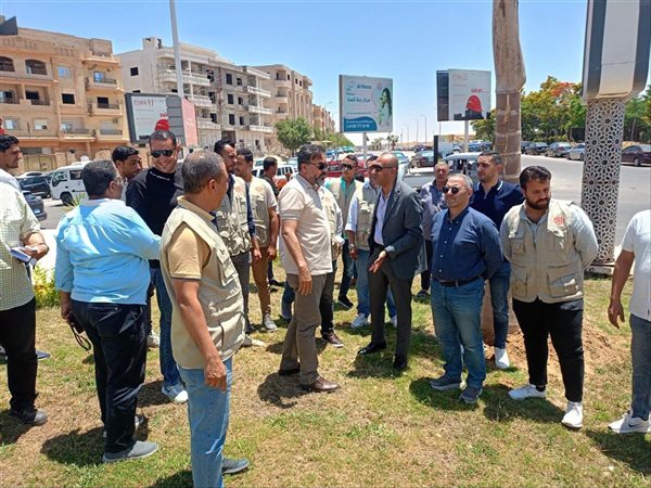 الشروق تزرع 40 ألف زهرة موسمية ضمن خطة تطوير المسطحات الخضراء