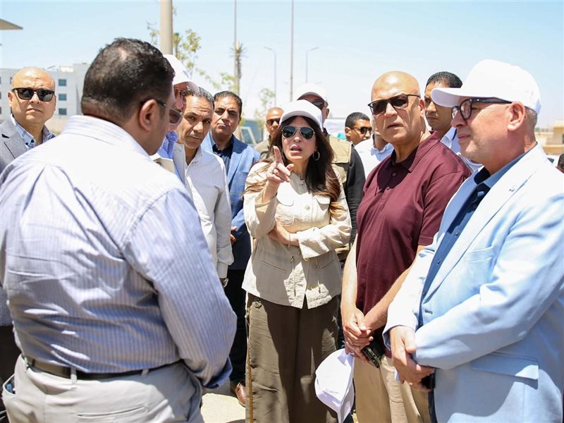 راندة المنشاوي وزيرة