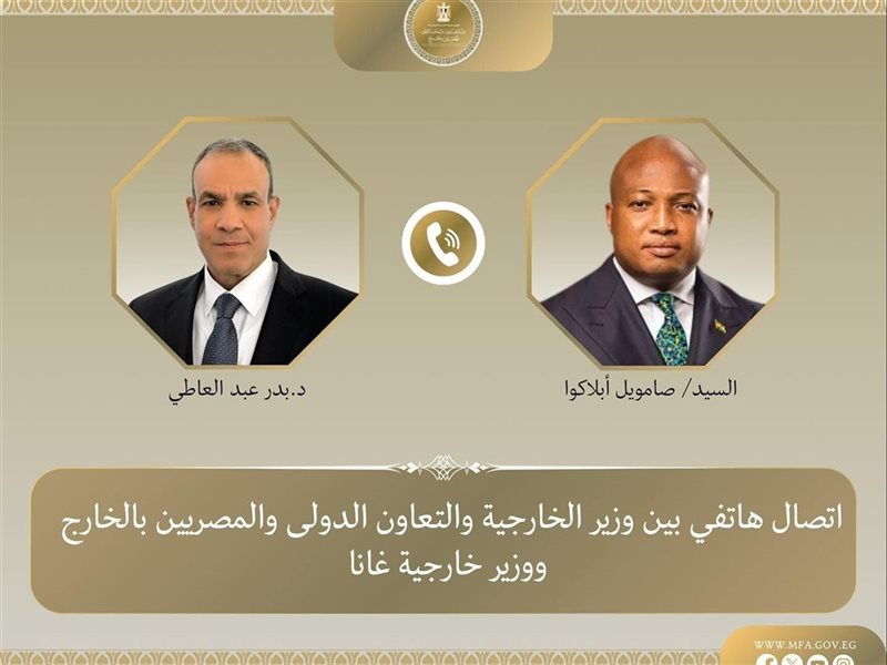 بدر عبد العاطي، وزير