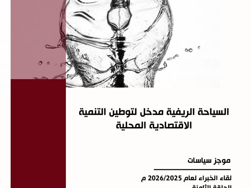 معهد التخطيط