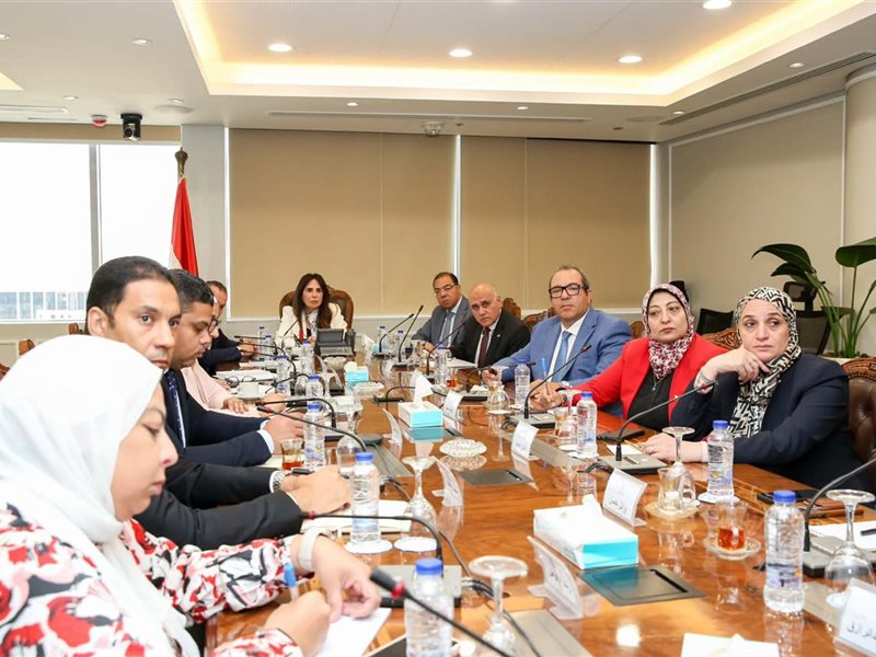 راندة المنشاوي وزيرة