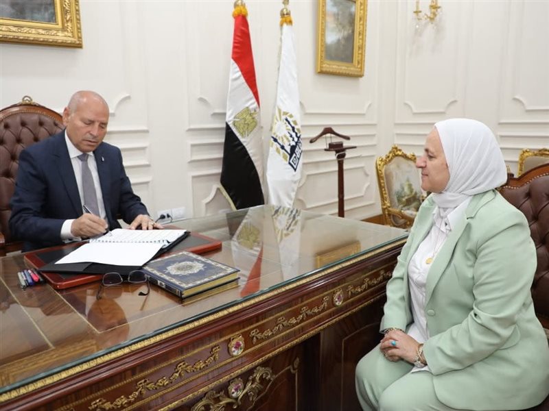 محافظ القاهرة 