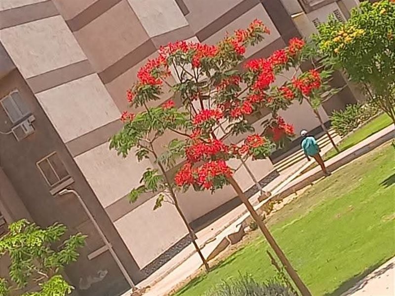 جهاز أكتوبر الجديدة