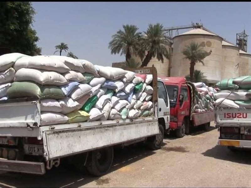  توريد محصول القمح