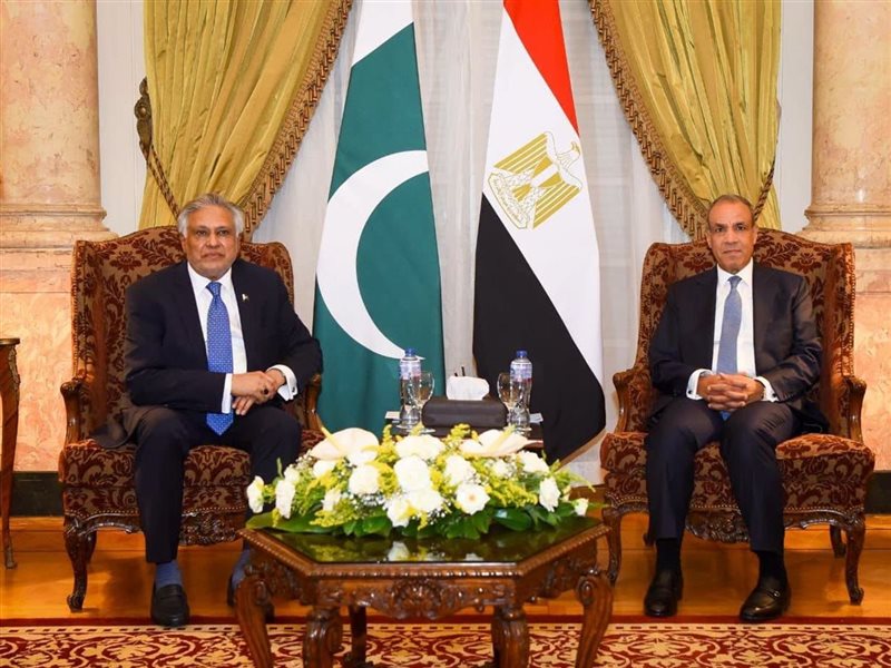 عبد العاطي يستقبل نائب رئيس وزراء باكستان