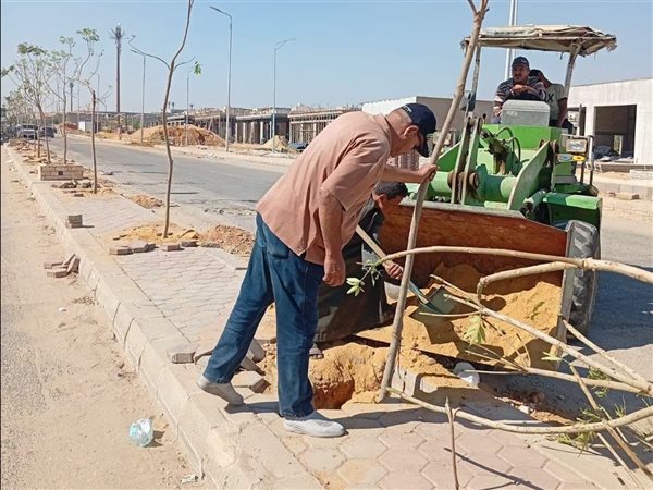 الشروق تتجمل.. تطوير الجزر والمحاور الرئيسية ورفع كفاءة المناطق الحيوية بالمدينة