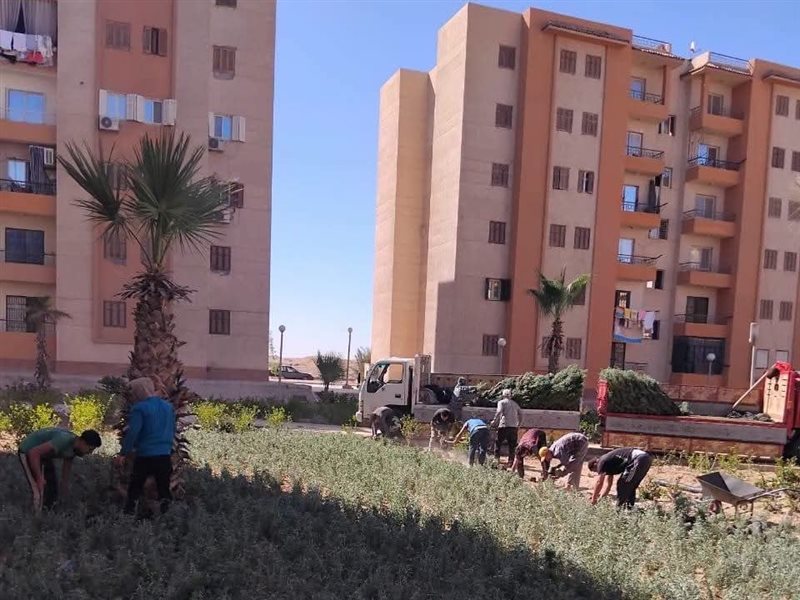 أكتوبر الجديدة 