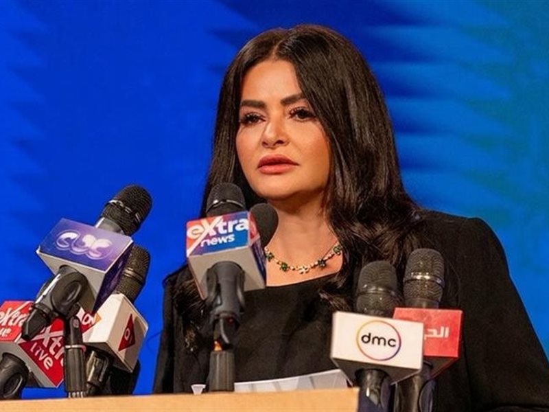 دينا عبد الفتاح